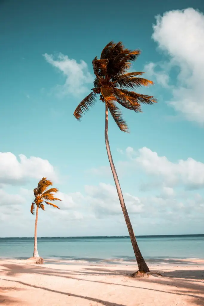 benjamin voros AD6rn3vqG7o unsplash