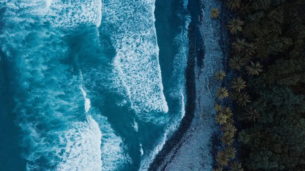 rajvinder singh p NYMvnIo4w unsplash
